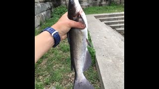 Flat Rock Dam Fishing [upl. by Trent72]