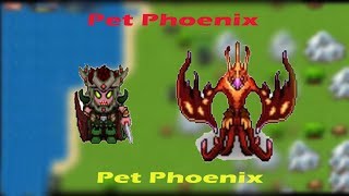 TibiaME W28  Get New Pet Phoenix [upl. by Busby529]