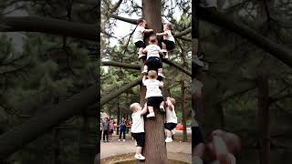 Multiple babies are trained to climb trees The healing smiles of human cubs The carefree childho [upl. by Inalaehak705]