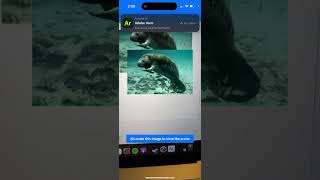 Florida Endangered Animals AR Learning Program Prototype 1 [upl. by Edyaj972]