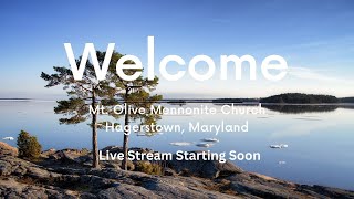 Mt Olive Mennonite Church Live Stream [upl. by Benildas65]