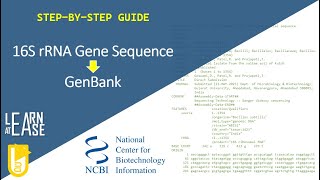 A StepbyStep Guide to Upload Bacterial 16S rRNA Gene Sequence to GenBank [upl. by Reba299]