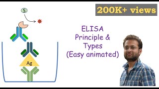 ELISA Enzymelinked Immunosorbent Assay [upl. by Enyad]