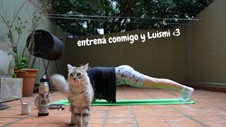 entrena conmigo ೃ࿐ abdomen isquiotibiales y glúteos ♥༻ [upl. by Aztirak]