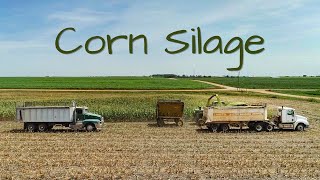 Chopping Silage 2022  KANSAS  JD 5830 Forage Harvester [upl. by Pete887]