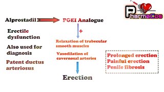 Prostaglandins Analogues Mechanism of action and their Therapeutic Use  PharmaCos [upl. by Meriel]