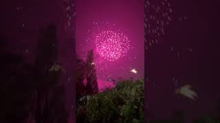 Firework show at woolston manor [upl. by Llehsyar440]