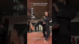 Master Wing Chun Pressing Palm Teaching Demonstration  Tu Tengyao [upl. by Tindall]