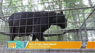 A Tour of Catty Shack Ranch Wildlife Sanctuary  River City Live [upl. by Ahsiekel]