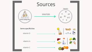 Micronutrients  basic knowledge [upl. by Rabush279]