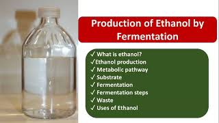 Ethanol production  Ethanol Fermentation  Substrate  steps  Uses  Pathway  waste  Hindi [upl. by Euseibbob]