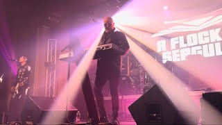 Space Age Love Song  A Flock of Seagulls LIVE at The Ritz Ybor Tampa FL 1142024 [upl. by Casie]