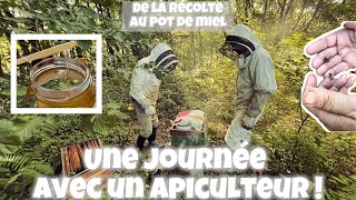 COMPRENDRE L’APICULTURE 🥰😍 [upl. by Sergias]