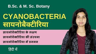 Cyanobacteria  सायनोबैक्टीरिया  हिंदी में  Botany [upl. by Terrab]