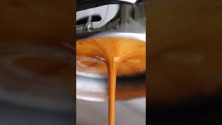 Espresso Extraction In Slow Motion [upl. by Ahsinet]