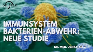 Immunsystem BakterienAbwehr Neue Studie [upl. by Ellednahc]