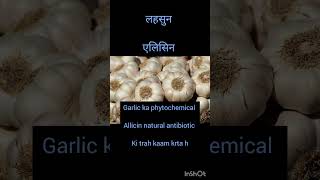 Garlic  Allicin  Nutritiondupe7691 [upl. by Naraj]