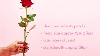 Moonpig How to pick the best red roses [upl. by Hgielrebma767]