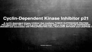 Medical vocabulary What does CyclinDependent Kinase Inhibitor p21 mean [upl. by Gomez]