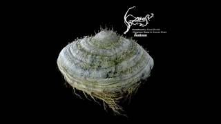 Tomáš Dvořák  Floex  Samorost 2 Soundtrack Full Album  Álbum Completo [upl. by Emerald]