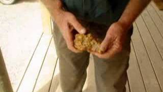 Gold found in Victoria Australia [upl. by Parsaye360]