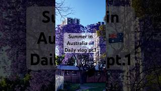 Jacaranda Season 🇦🇺  Daily vlog pt1 shorts australia malayalam australianmalayali [upl. by Immac]