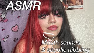 ASMR  First Mouth sounds and Spoolie Nibbling video [upl. by Spielman105]