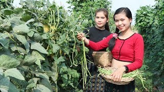 Cook Rotten Fish Eating Delicious The Smelliest Food In The World  Fresh Vegetable [upl. by Onitnatsnoc500]