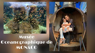 Monaco Oceanographic Museum  Aquarium  MONACO MONTE CARLO [upl. by Ateloj141]