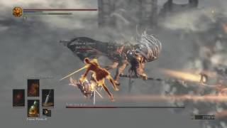 DARK SOULS™ III Lothric Knight Greatsword Vs Nameless King Coop [upl. by Nnylg]