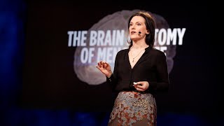 How menopause affects the brain  Lisa Mosconi [upl. by Pruter]