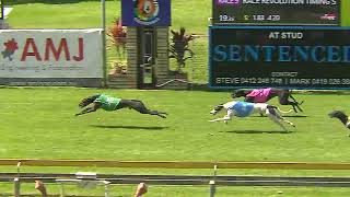 Capalaba27102024Race9 [upl. by Sitsuj398]