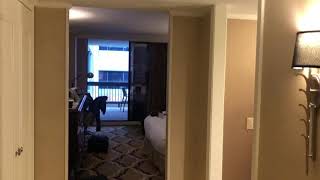 Intercontinental hotel in downtown New Orleans review [upl. by Bryna]