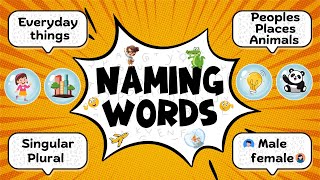 – Naming Words People Places and Animals  for Grade 1 Class 1  English Grammar  Quiz for kids [upl. by Anayd911]