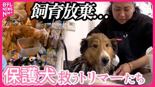 【密着】保護犬レスキュー！キレイにして家族探し…トリマーたちの奮闘90日『every特集』 [upl. by Anoirtac]