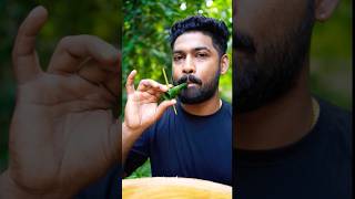 Survival skills Amazing Coconut leaf HORN🔥🥰 camping outdoors bushcraft [upl. by Adian421]