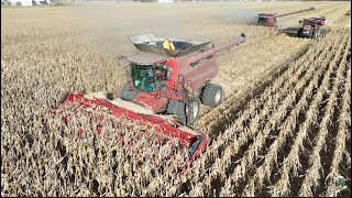 Corn Harvest 2024 with Dick Lavy Farms [upl. by Euqinobe13]