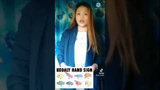 Kodaly Method  Teaching Music in Elementary Grades [upl. by Sanjiv]