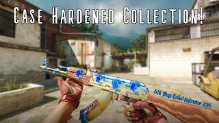 Is this the best ak47 Case hardened collection you have ever seen [upl. by Naawaj639]