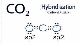 CO2 Hybridization Hybrid Orbitals for CO2 [upl. by Thurman]