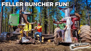 These CRAZY Machines Can Cut 800 Trees Per Day [upl. by Atined986]