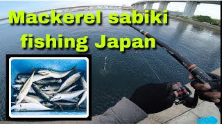 Japan traditional fishing HOW TO CATCH MACKEREL FISH SHORE FISHING JAPAN ep3  sabiki fishing [upl. by Dunaville954]