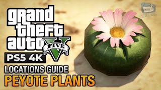 ✔️Donde encontrar TODOS los 27 PEYOTES en GTA 5  Ubicación de las plantes de PEYOTE en GTA V [upl. by Loggins]