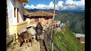 CAMINOS DE CALDAS Bambuco [upl. by Anyale]