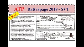 Rattrapage 2018 SVT ATP [upl. by Roderica]