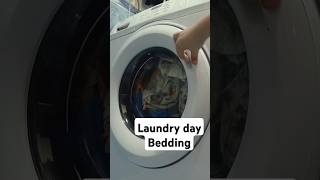 Laundry day 🌌 laundrymotivation cleanlaundry laundry laundrytime laundrypaste laundryservices [upl. by Berti]