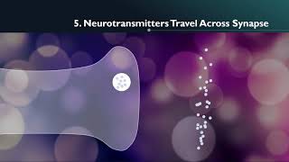 Journey of a Neurotransmitter [upl. by Oilcareh]