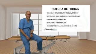 Fisioterapia Logroño ¿Cómo diferenciar si tienes una rotura de fibras o una contractura muscular [upl. by Bertina526]