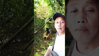 Kapalaran KapamilyaTrending song music nature hardwork news farming love goodavibes [upl. by Hazmah166]