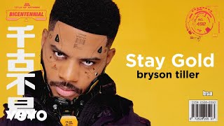 Bryson Tiller  Stay Gold Visualizer [upl. by Francene]